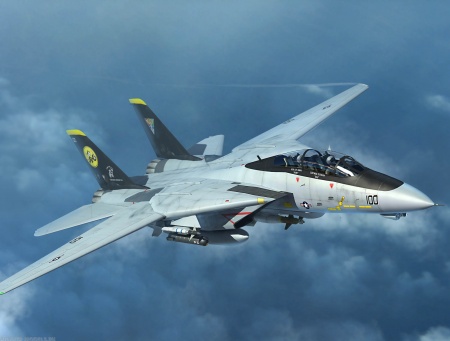 03919 Самолет  F-14D  Trumpeter