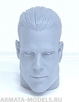 75090 Голова телоида №1